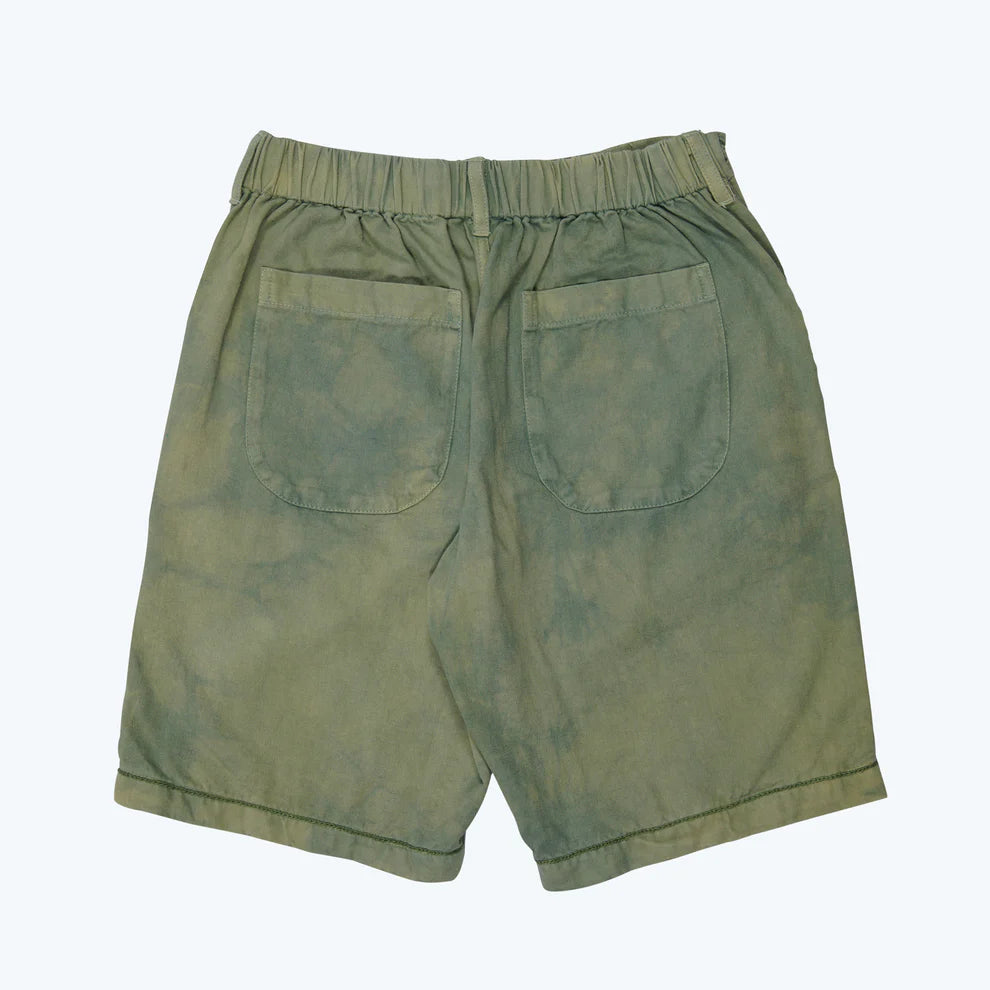 Algae | Shorts