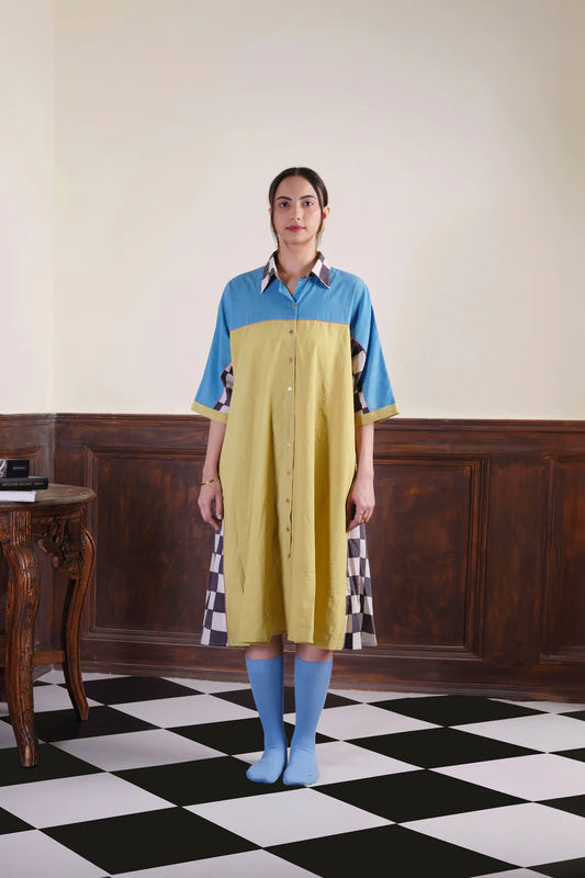 Checks in the Mail | Shirt Dress