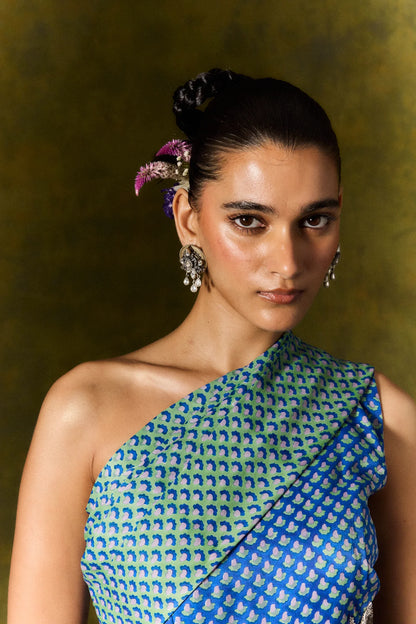 Zaroon | Silk Saree Dress